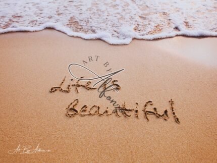 life is beautiful